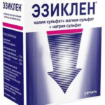 Эзиклен концентрат д/приг, р-ра д/вн, применения 176мл № 2